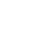 print icon